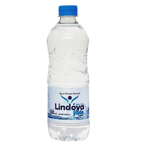 VIDA LINDOIA GF 500MLX12 BEBIDAS FRIAS